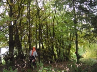  tidied up the rear branches and the ground debris so we could get at the trees